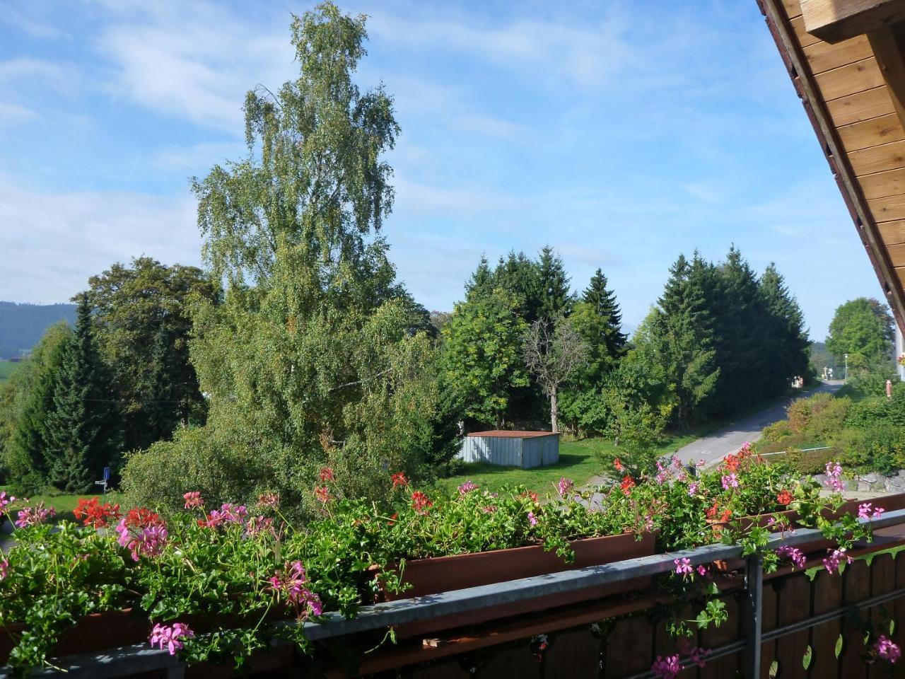 Ferienwohnung Gästehaus Hundelbach Lenzkirch Exterior foto